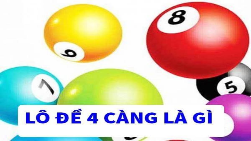 4 Càng Là Gì & Lý Giải Chi Tiết Thủ Thuật So Tài Hiệu Quả