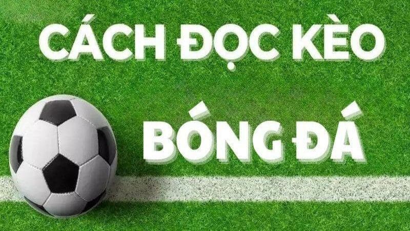 Cách đọc kèo bóng đá đơn giản, tự tin đặt cược